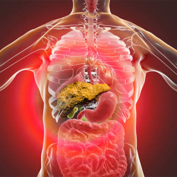 Managing Chronic Liver Conditions: Tips for a Better Quality of Life